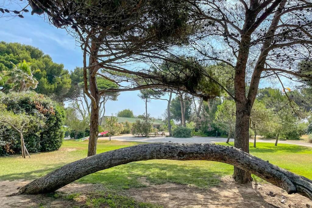 Appartement En Residence Privee, Face A La Mer Avec Acces Direct Plage Hyères Eksteriør billede